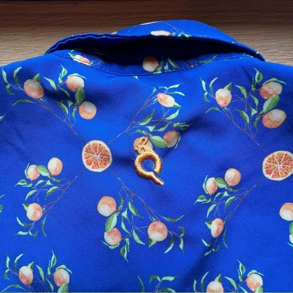 Blue Quail Guayabera Sleeveless Dress in Citrus Pattern Size 4T. EUC - Picture 4 of 10